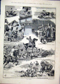 Original Old Antique Print Stag Hunting 1885 Horses Hounds Drinking Towler 19th