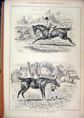 Original Old Antique Print 1883 Hunting Hounds Horses Men Country Scene 19th
