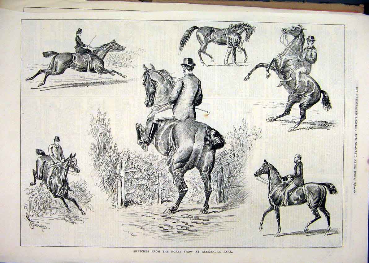 Original Old Antique Print 1878 Sketches Horse Show Alexandra Palace Jumping