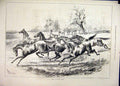 Original Old Antique Print 1877 Young Horses Running Field Country Scene 19th