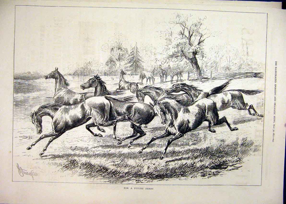 Original Old Antique Print 1877 Young Horses Running Field Country Scene 19th