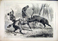 Original Old Antique Print 1875 Stag-Hounds County Limerick Attack Horse Rider