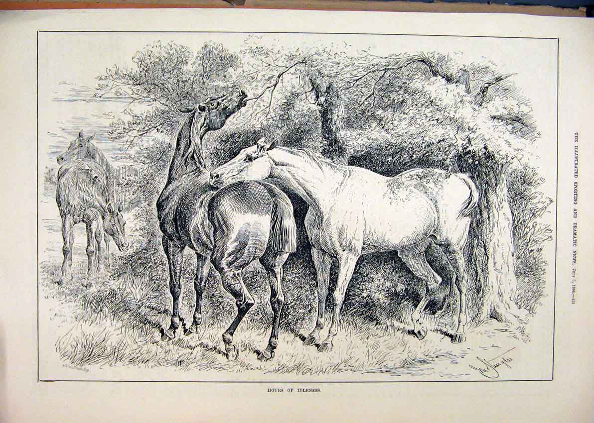 Original Old Antique Print 1884 Horses Eating Trees Playing Country Scene 19th