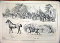 Old Antique Print Sketches Barnstaple Horse Show 1877 Judging Hacks Cart 19th