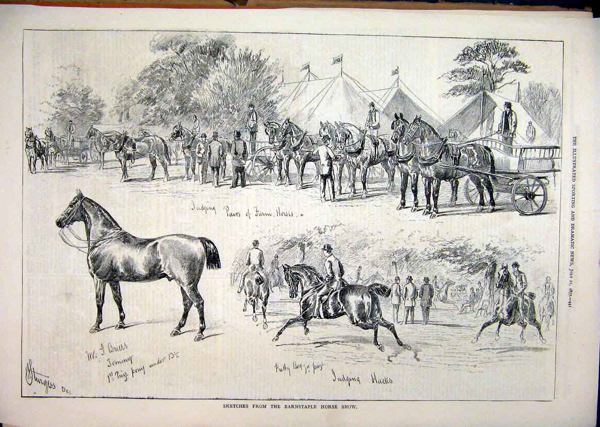 Old Antique Print Sketches Barnstaple Horse Show 1877 Judging Hacks Cart 19th