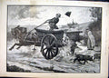 Old Antique Print 1892 Horse Cart Man Pigs Escape Country Scene Fine Art 19th