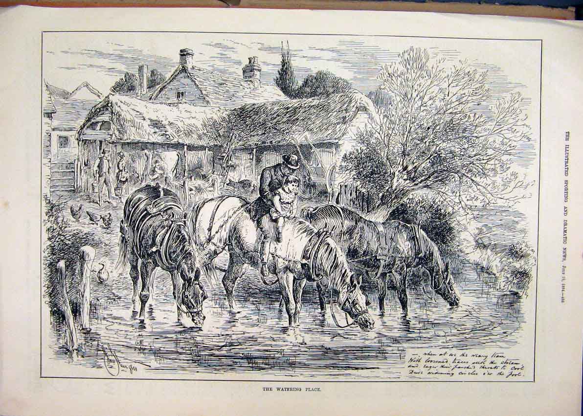Original Old Antique Print 1884 Horses Watering Place Drinking Chicken Barn 19th