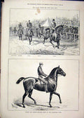 Original Old Antique Print 1877 Palace Stakes Norah Trotting Mare Alexandra Park