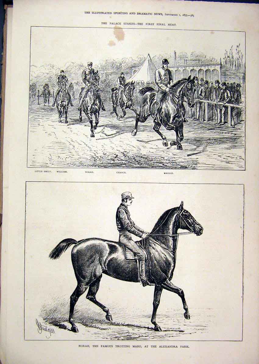 Original Old Antique Print 1877 Palace Stakes Norah Trotting Mare Alexandra Park