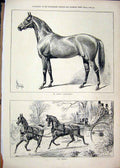 Original Old Antique Print 1878 Horse Coach Mr Lupin Salvator Country Scene 19th