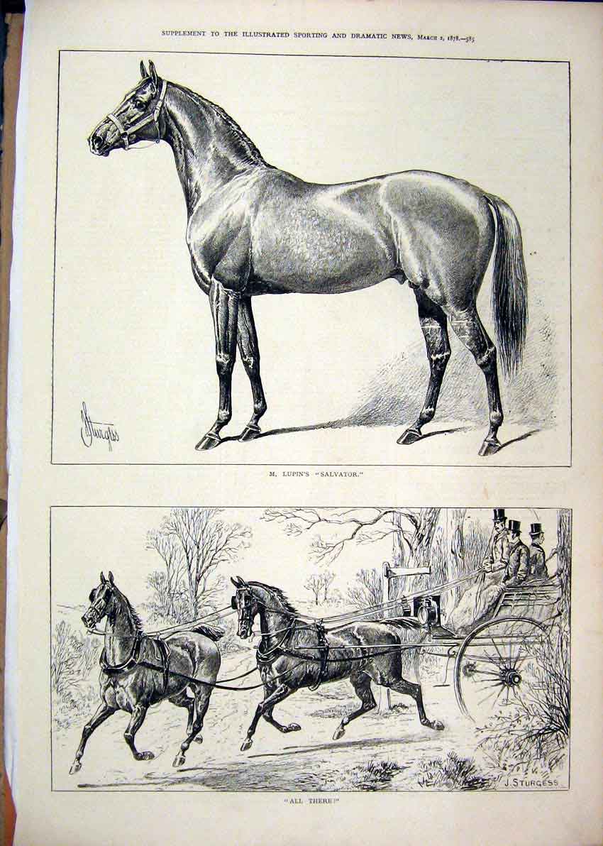 Original Old Antique Print 1878 Horse Coach Mr Lupin Salvator Country Scene 19th