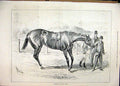 Original Old Antique Print 1878 Jockey Man Leading Horse Race Course Turf 19th