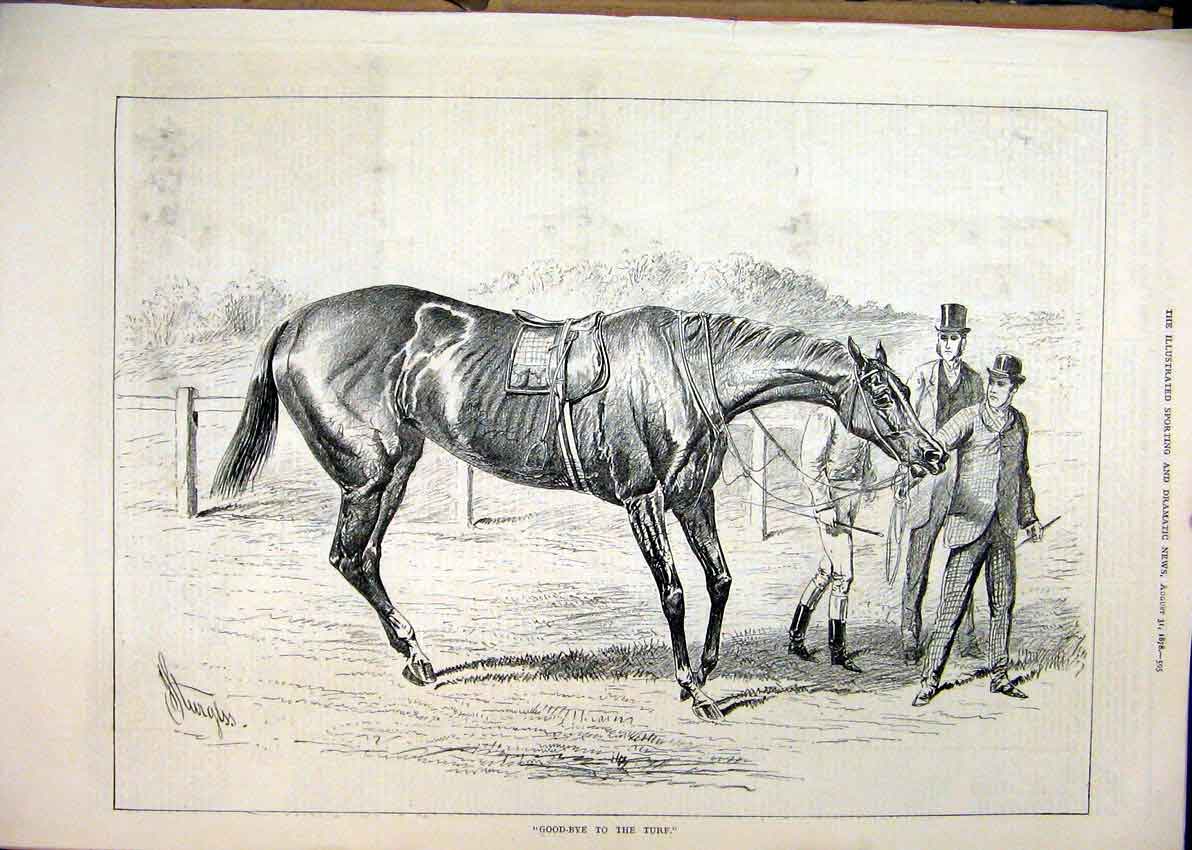 Original Old Antique Print 1878 Jockey Man Leading Horse Race Course Turf 19th
