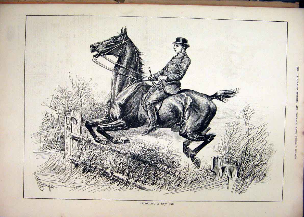 Original Old Antique Print 1880 Horse Rider Jumping Fence Country Scene 19th