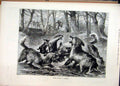 Original Old Antique Print Otter Hunting Germany 1884 Dogs River Men Victorian