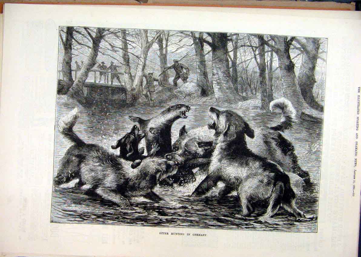 Original Old Antique Print Otter Hunting Germany 1884 Dogs River Men Victorian