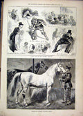 Original Old Antique Print Victoria Theatre Scenes 1880 Russian Trotting Horses