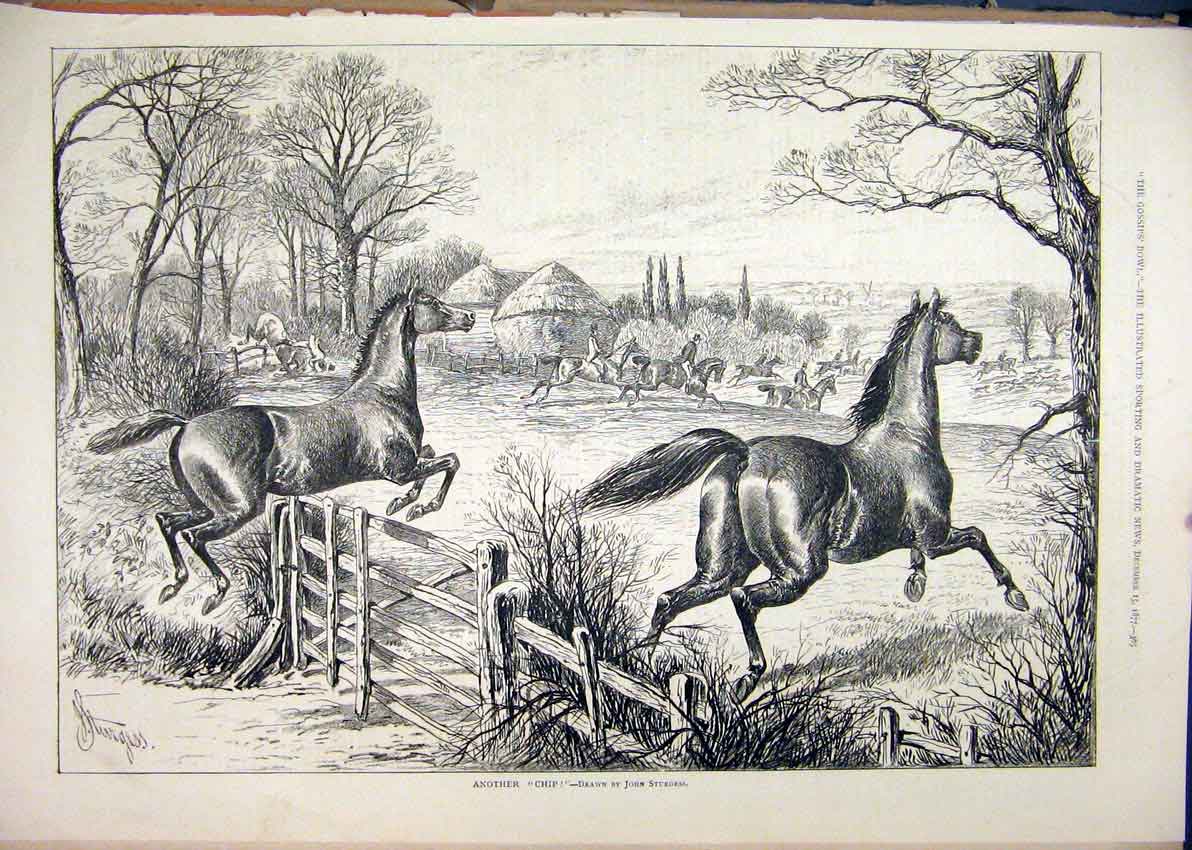 Original Old Antique Print 1877 Loose Horses Jumping Fence Field Country Scene