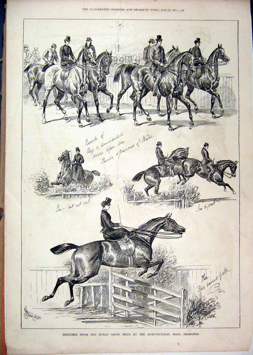 Original Old Antique Print 1877 Sketches Horse Show Agricultural Hall Islington