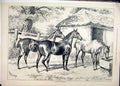 Old Antique Print Horses Filed Drinking Trough 1877 Stable Country Scene 19th