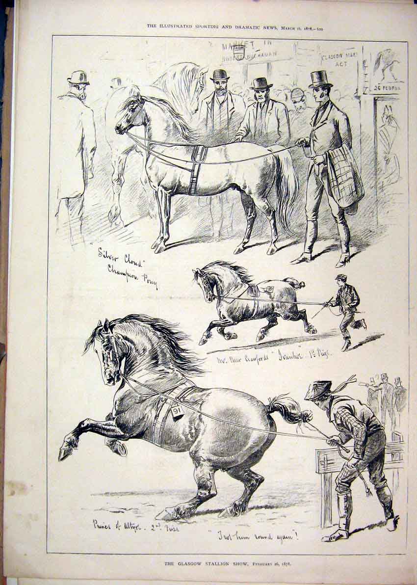 Original Old Antique Print 1878 Glasgow Stallion Show Horses Silver Cloud 19th