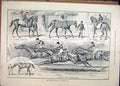 Old Antique Print 1888 Horses Eclipse Stakes Sandown Park Ossory Martley 19th