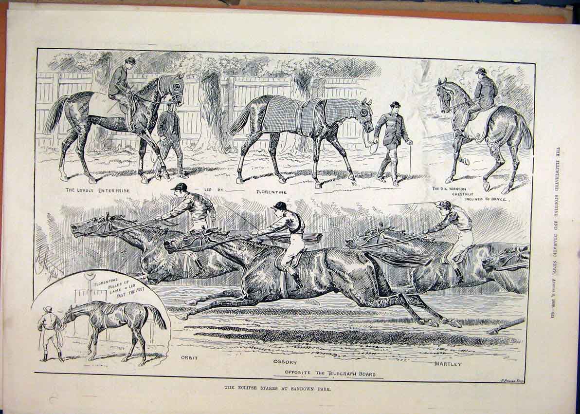 Old Antique Print 1888 Horses Eclipse Stakes Sandown Park Ossory Martley 19th