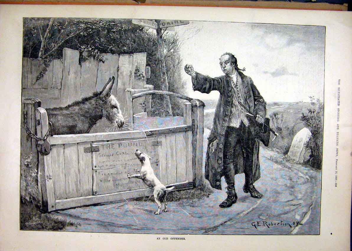 Original Old Antique Print Walking Man Dog 1890 Dinkey Pound Tramp Country Lane