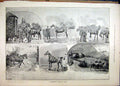 Original Old Antique Print Jockey Horse Home 1890 Dog Stables Country Scene 19th