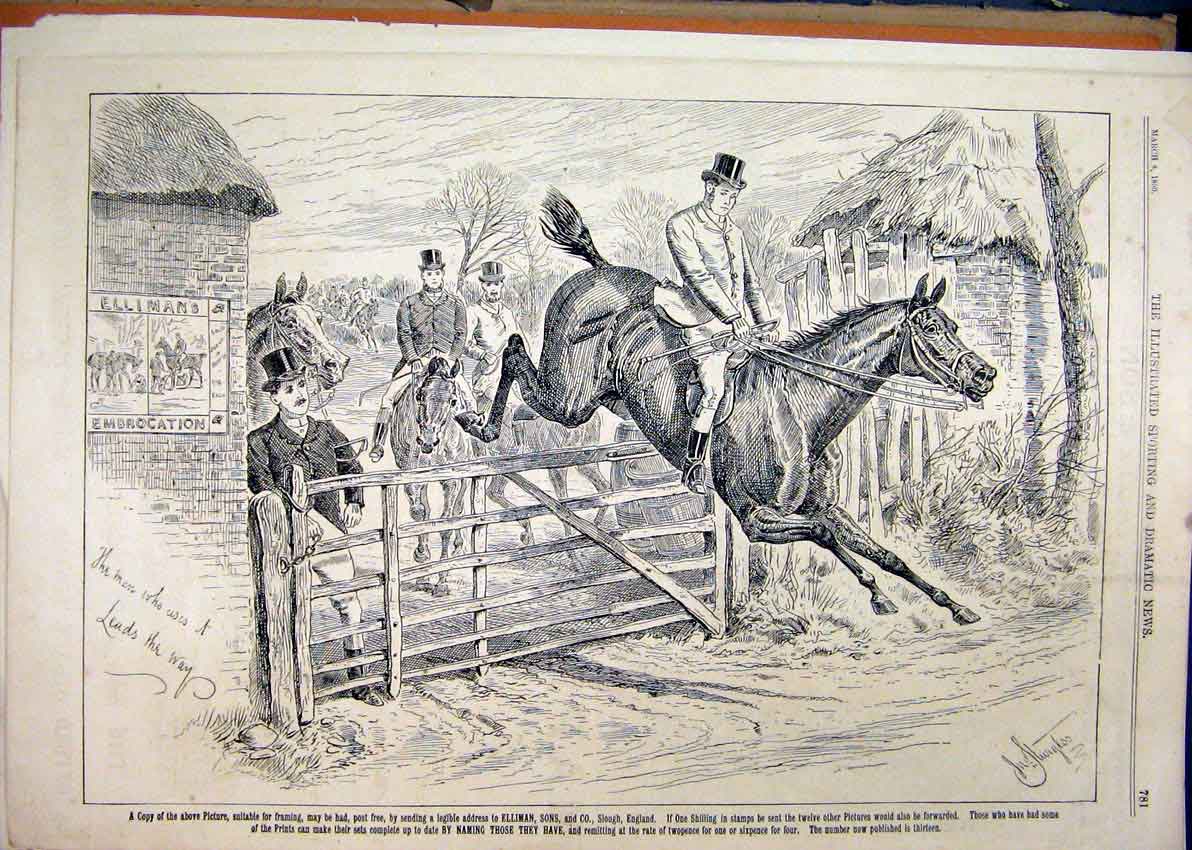Original Old Antique Print 1890 Advert Ellimans Embrocation Horse Jumping Gate