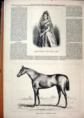 Original Old Antique Print 1878 Baden Race Horse Madame Gerster Majesty Opera