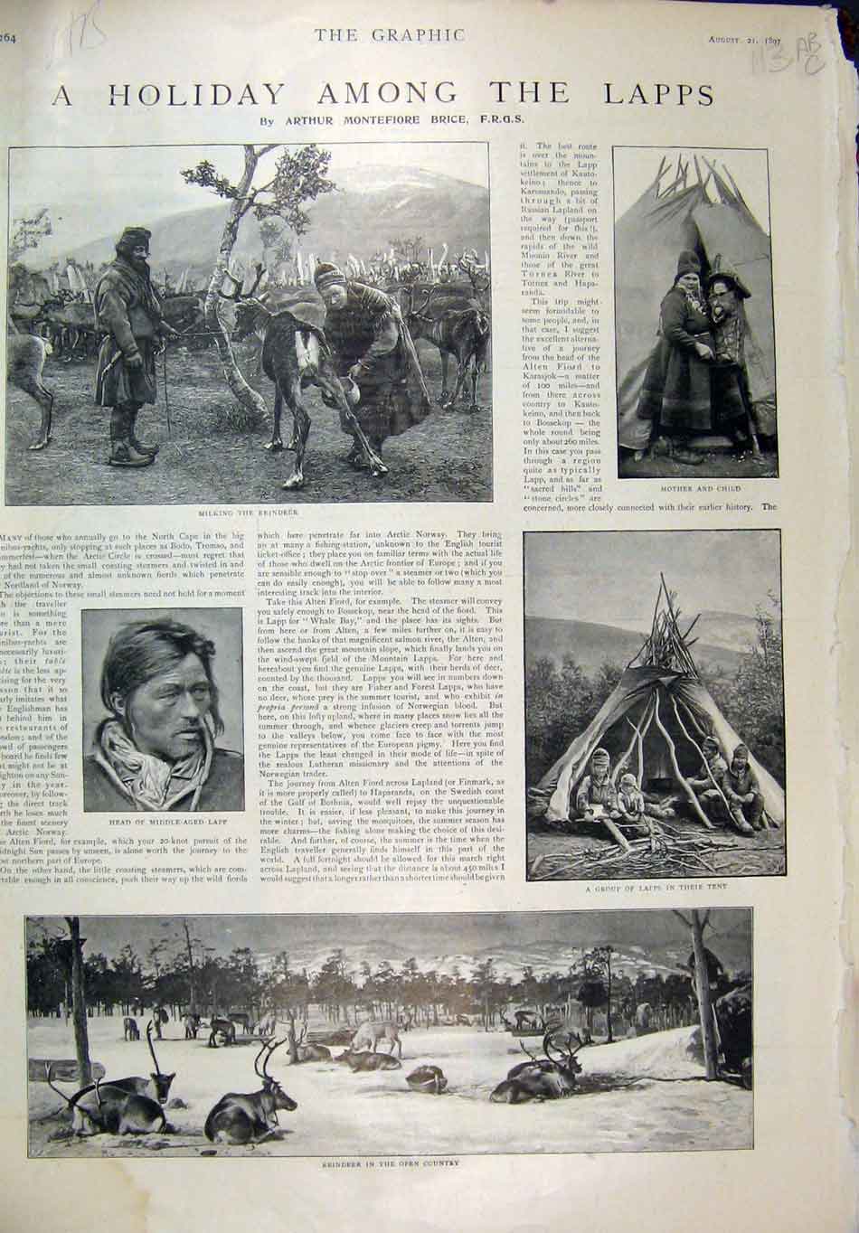 Original Old Antique Print Holiday Lapps 1897 Reindeer Tent Peter Rome Leinster
