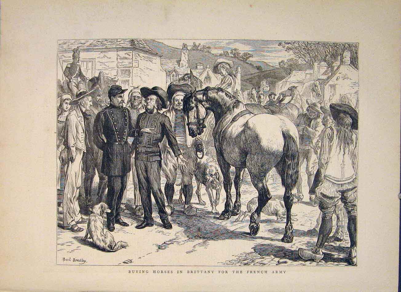 Original Old Antique Print Horses Brittany French Army 1871 19th