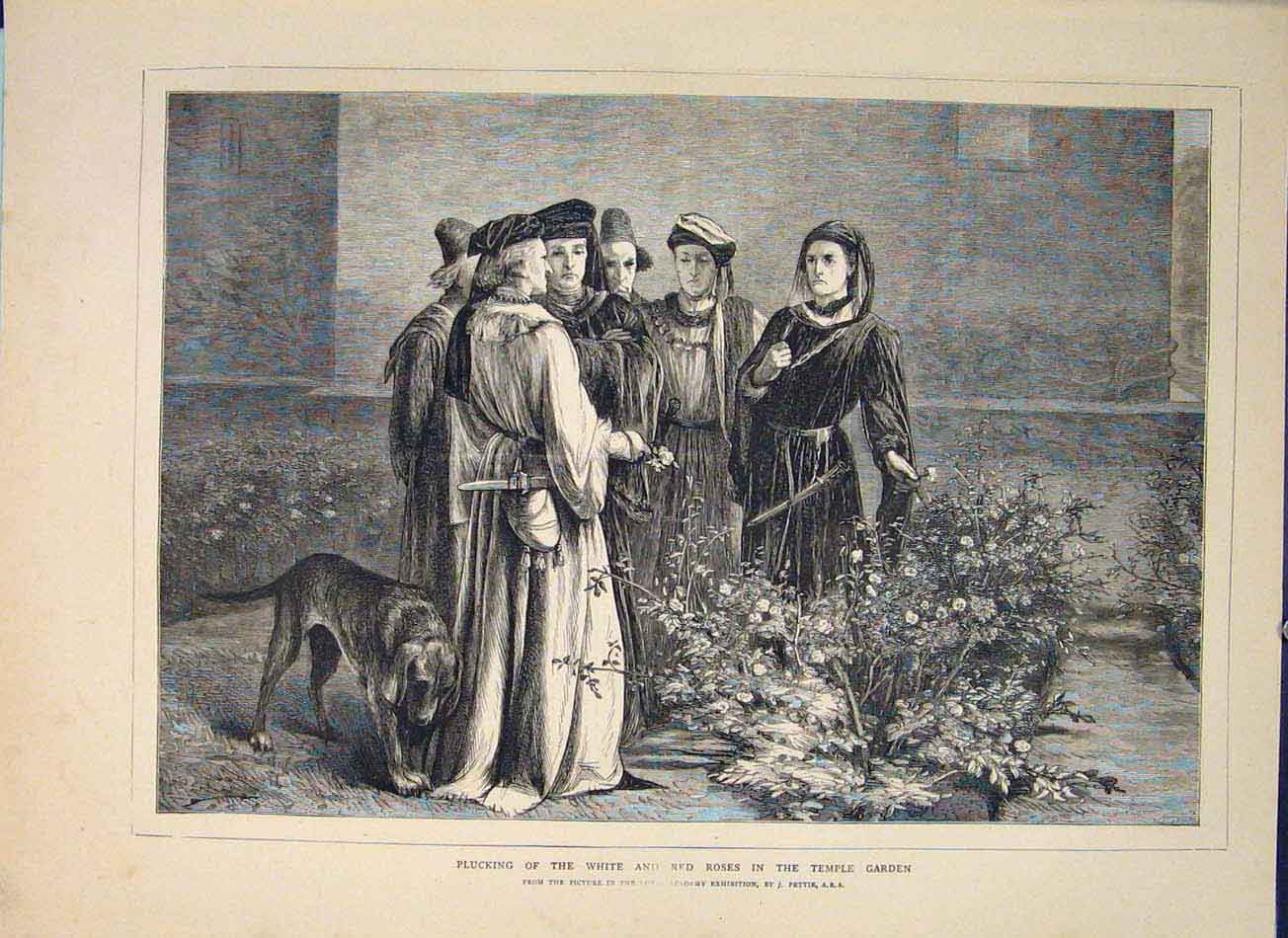 Original Old Antique Print White Red Roses Temple Garden Pettie Fine Art 1871