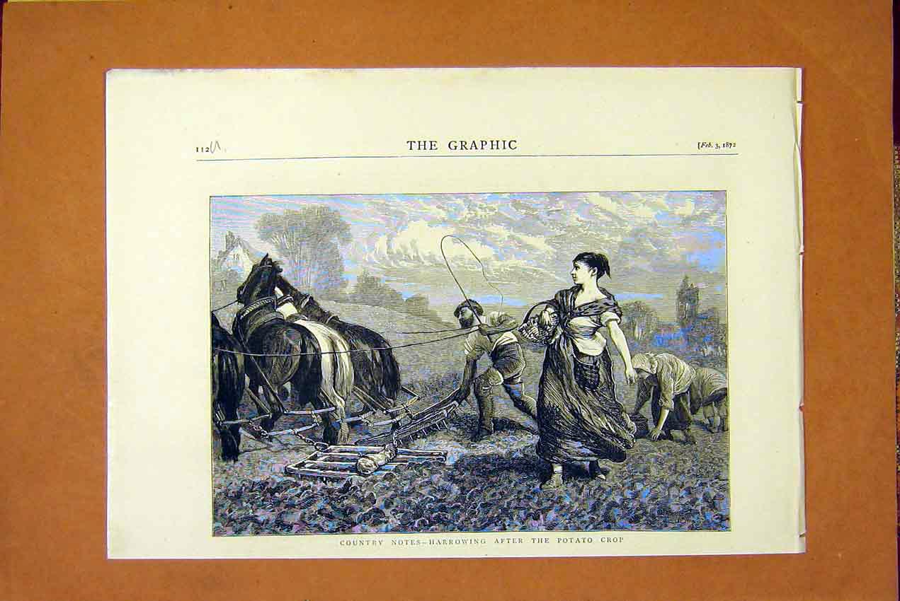 Original Old Antique Print Country Notes Harrowing Potato Crop Farm Field 1872