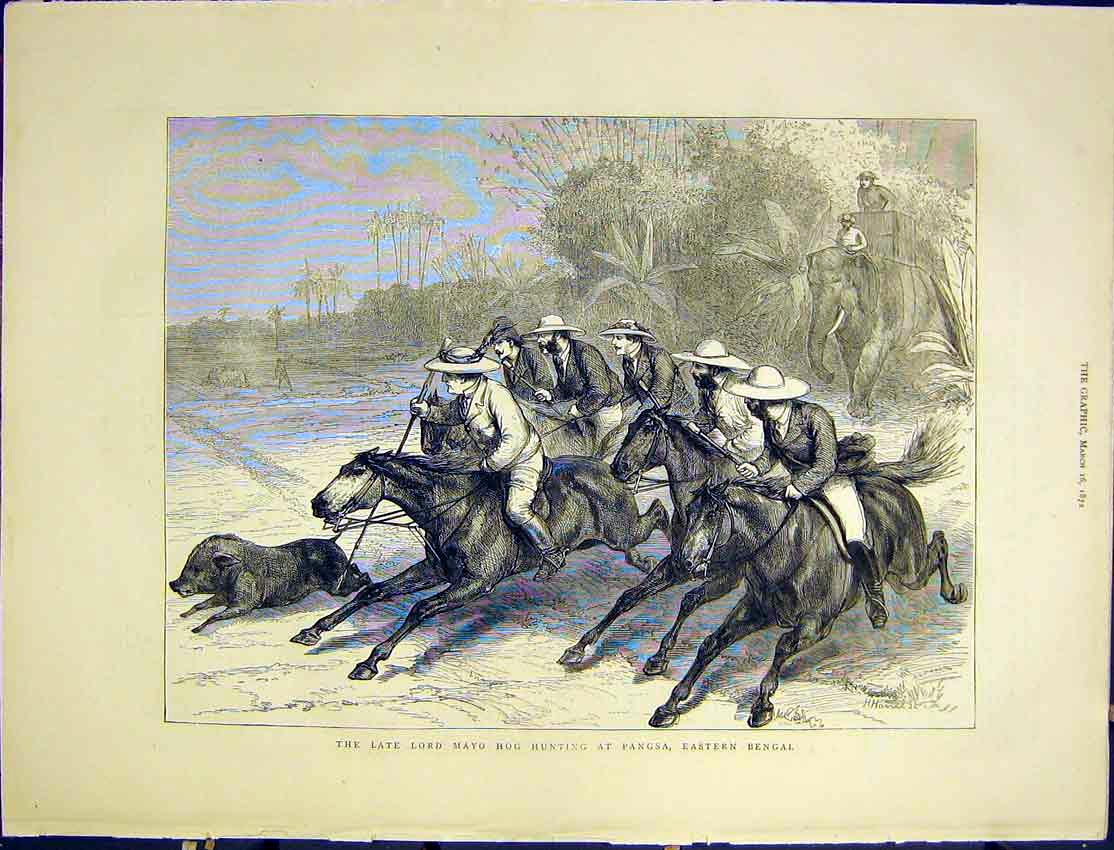 Original Old Antique Print Lord Mayo Hunting Pangsa Bengal Horse 1872 Victorian