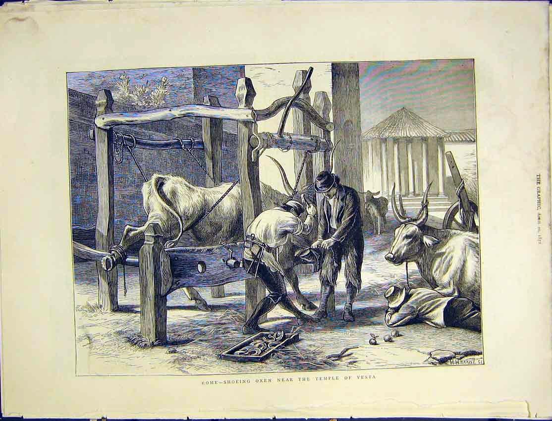 Original Old Antique Print Rome Shoeing Oxon Temple Vesta Farm 1872 Victorian