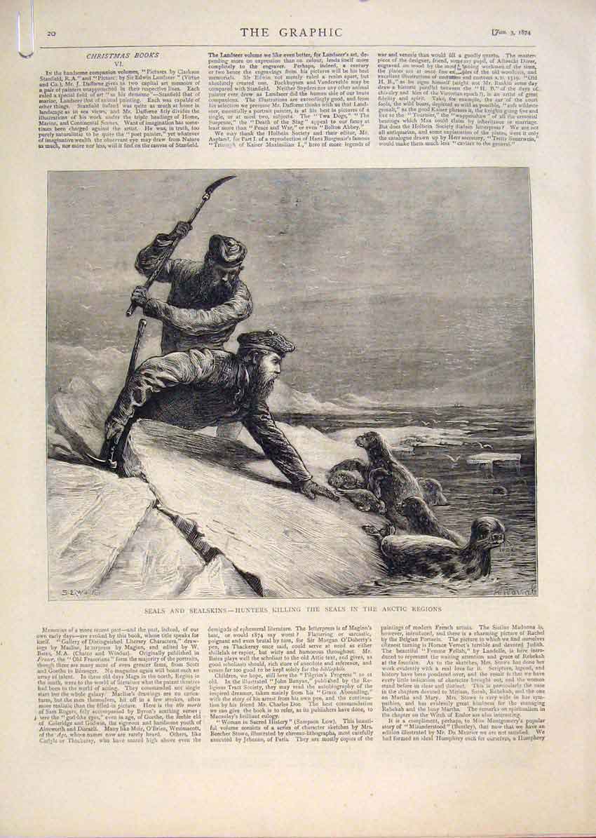 Original Old Antique Print Seals Seal-Skins Hunters Arctic Furskin Hunting 1874