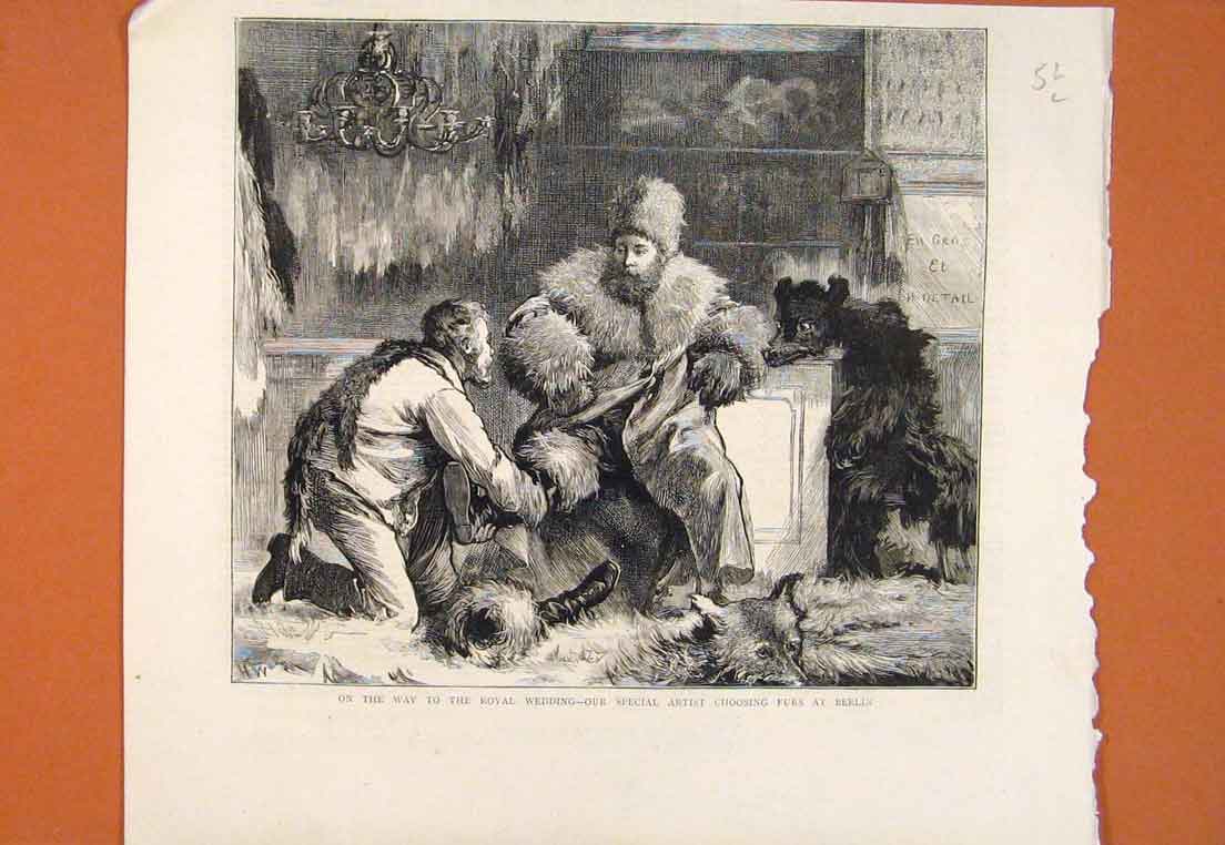 Original Old Antique Print Royal Wedding Artist Furs Berlin Germany 1874 19th