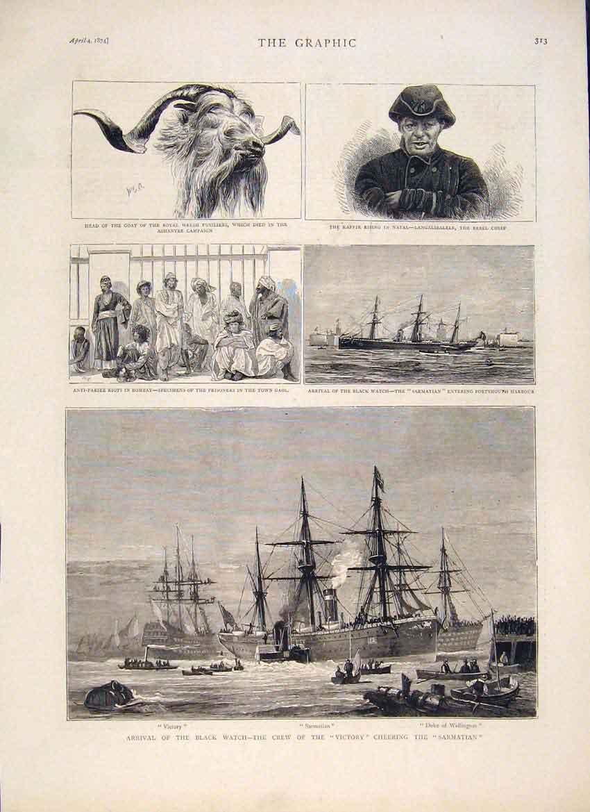 Original Old Antique Print Goat Welsh Fusiliers Natal Bombay Black Watch Victory