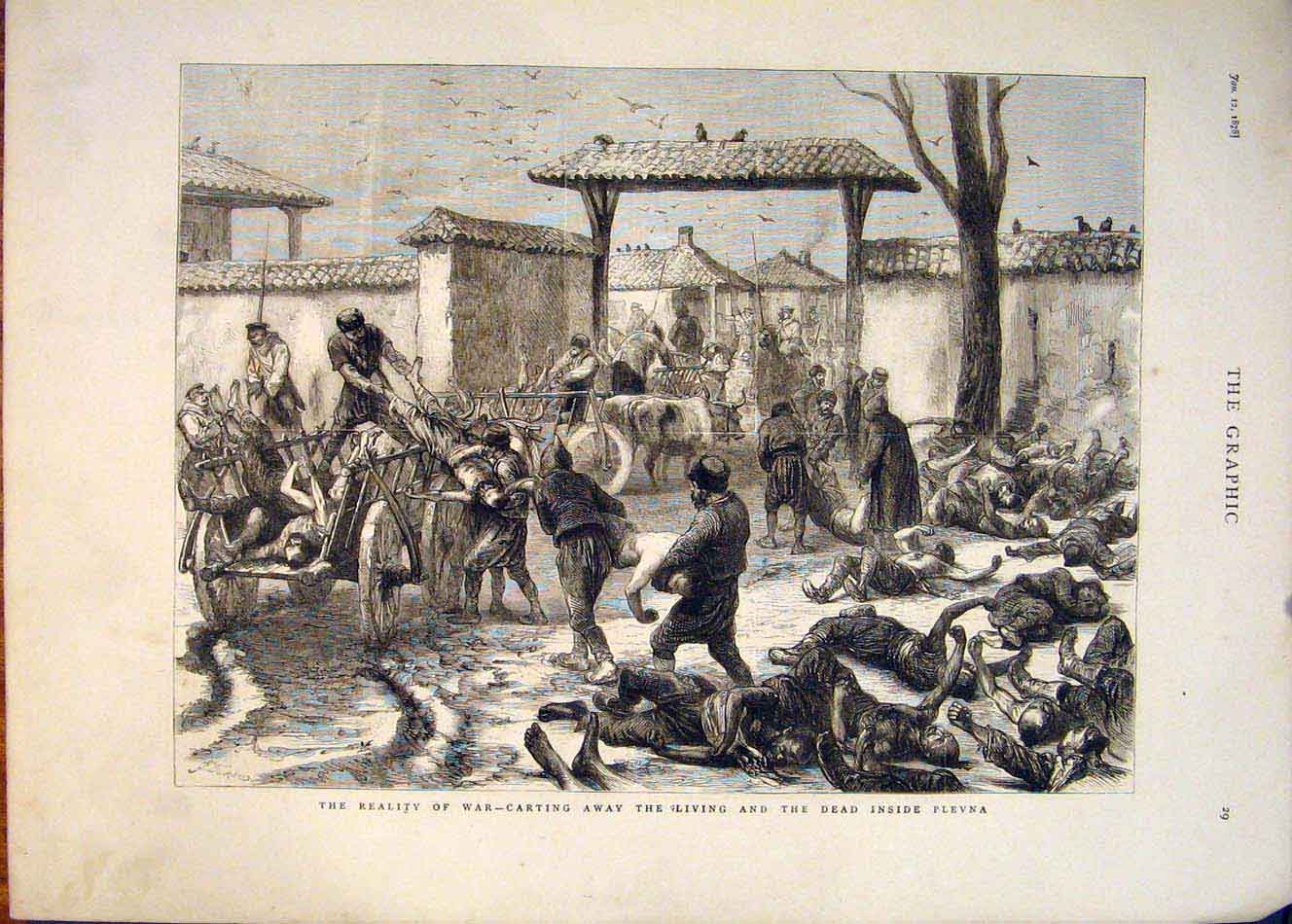 Original Old Antique Print War Plevna Living Dead 1878 19th Century
