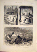 Original Old Antique Print GCanada Emigrant Backwoods 1878 19th