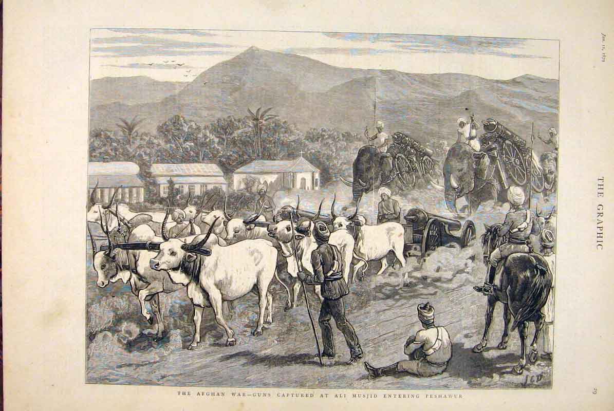 Original Old Antique Print Afghan War Ali Musjid Peshawur Cattle 1879 Victorian