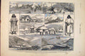 Original Old Antique Print Nevada Usa America Sierra Indian San Sebastian 1879