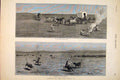 Original Old Antique Print Cattle Leith Herder Cow Camp Herding Fine Art 1879