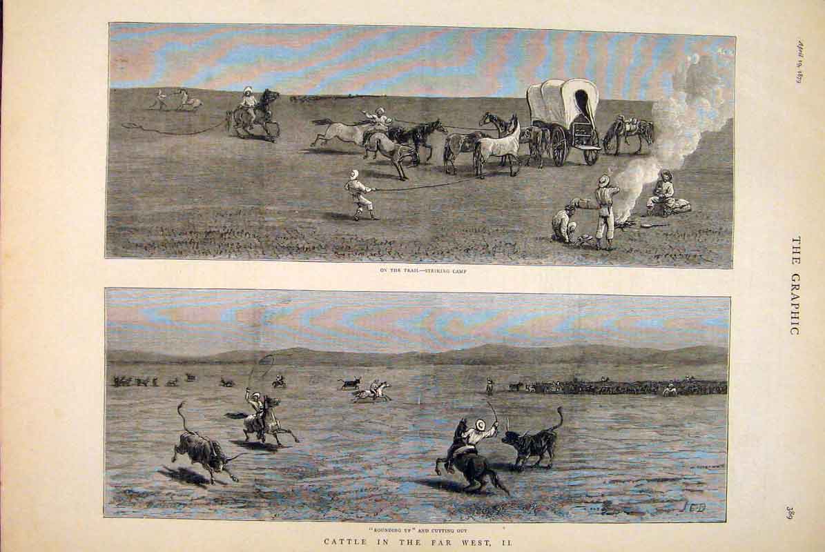 Original Old Antique Print Cattle Leith Herder Cow Camp Herding Fine Art 1879