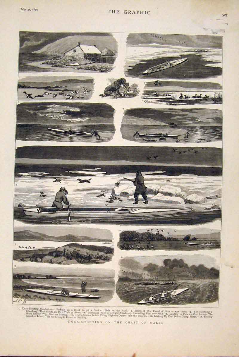 Original Old Antique Print Duck Shooting Coast Wales Welsh 1879 19th