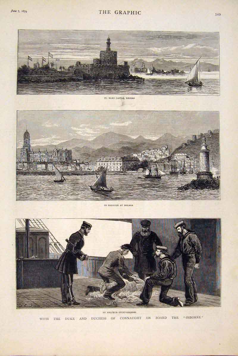 Old Antique Print Hms Osborne Connaught Rhodes Malaga Sheep Shearer 1879 19th