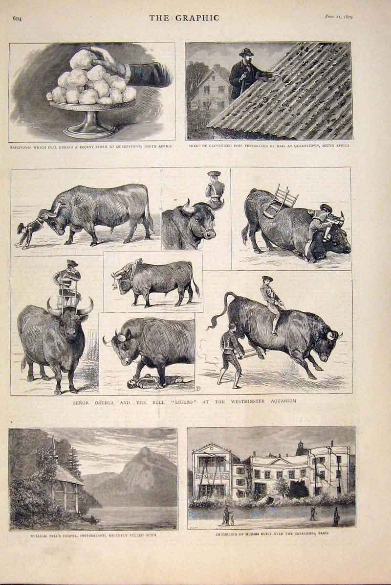 Old Antique Print Ortega Bull Westminster Africa Hail Catacomb Paris Tell