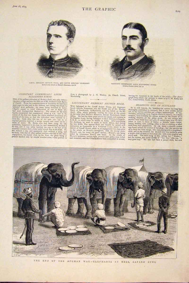 Original Old Antique Print Portrait Reed Byrne Africca Zulu War Afghan Elephant
